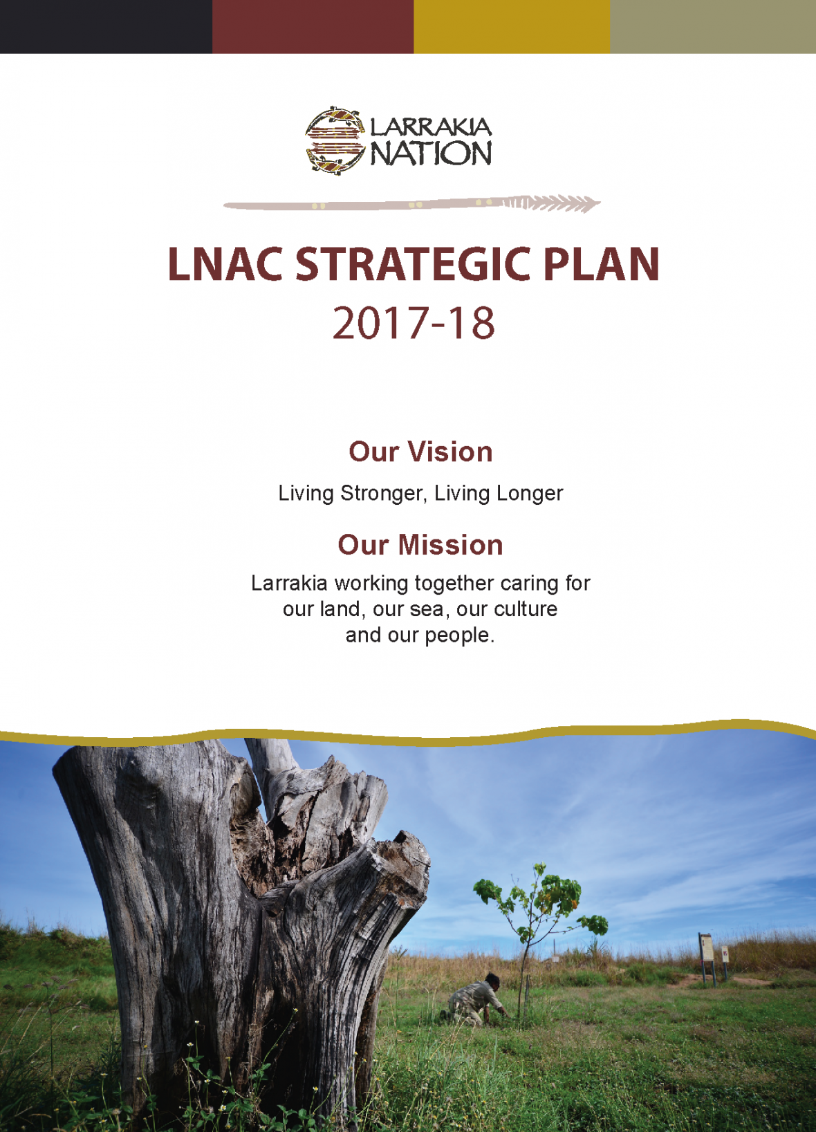 Strategic Plan Larrakia Nation